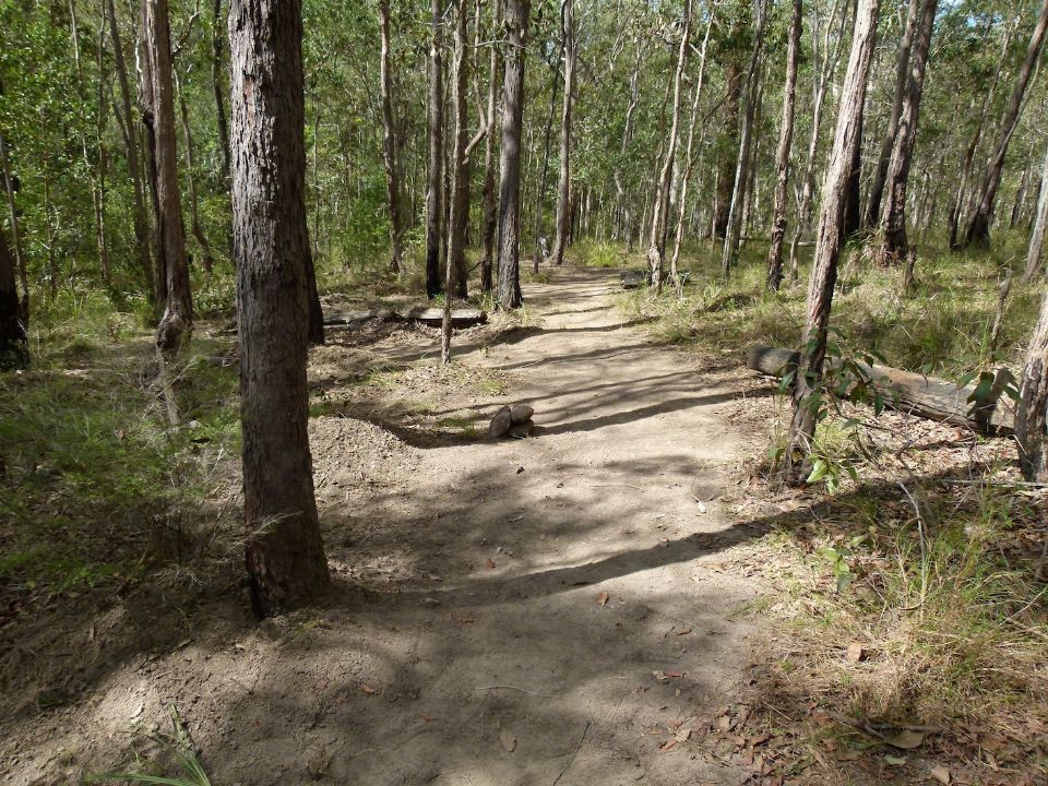 P1140010.jpg